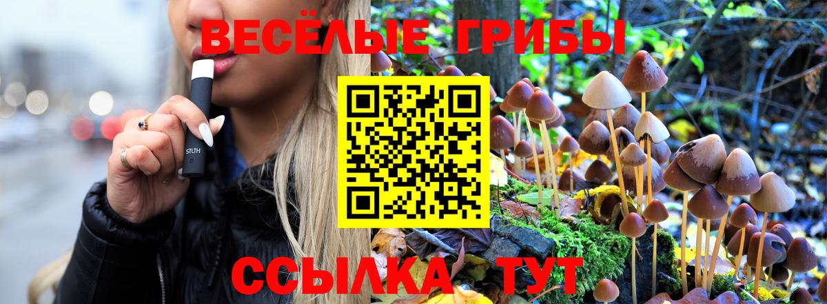 Соль-Илецк  Галлюциногенные грибы Magic Shrooms  Вход с VPN 