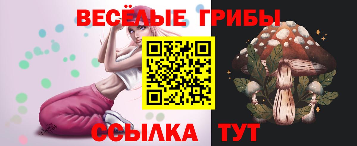 Псилоцибиновые грибы MAGIC MUSHROOMS Соль-Илецк